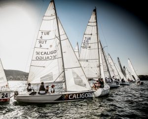sailing foto 1